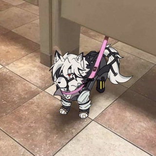 Telegram profile photo for Nighty Yiff Favorites