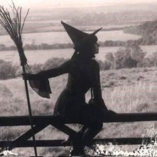 Telegram profile photo for π½πΆπππΆ πππππΆππΆ