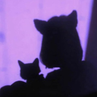 Telegram profile photo for koshkajena
