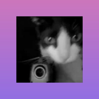 Telegram profile photo for My Bio