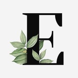 Telegram profile photo for انكليزي اول متوسط