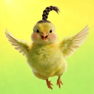 Telegram profile photo for 林初的反馈频道