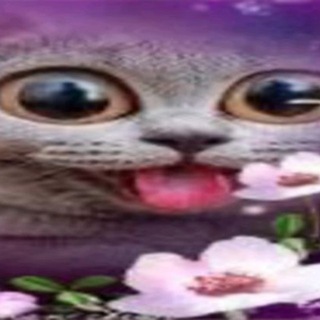 Telegram profile photo for Смешная нарезка неудач