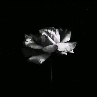 Telegram profile photo for أَثَـرٌ جَمِيـلٌ قَبلَ الرَّحِيــــل𓂆🪴.