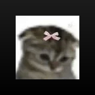 Telegram profile photo for Macar0000n¿