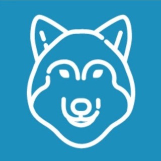 Telegram profile photo for Волк Тамбовский
