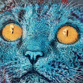 Telegram profile photo for Записки Синего Кота