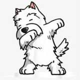 Telegram profile photo for Моё собачье дело