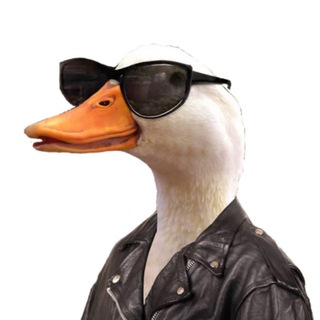 Telegram profile photo for Модные Гусси