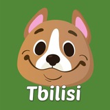 Telegram profile photo for Тбилиси аренда квартир | Domiko