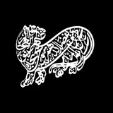 Telegram profile photo for Antony | آنتونی