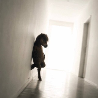 Telegram profile photo for вроде бы