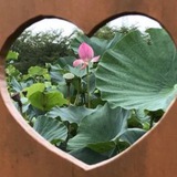 Telegram profile photo for wormeddies’ archive