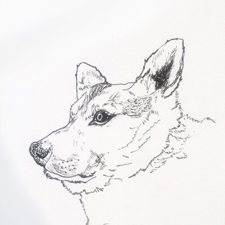 Telegram profile photo for Путилковские Псы ищут Людей 🏡
