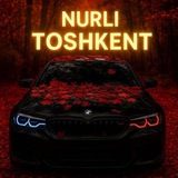 Telegram profile photo for Nurlitoshkent