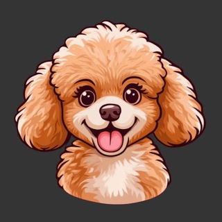 Telegram profile photo for Miss Kaka - CZ Wife Dog