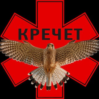 Telegram profile photo for Кречет. Тактическая медицина