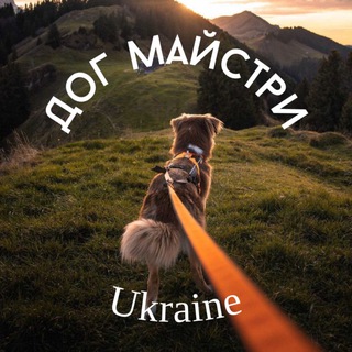 Telegram profile photo for Дог майстри Ukraine