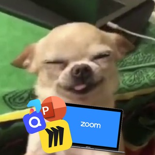 Telegram profile photo for репетиторские хиханьки