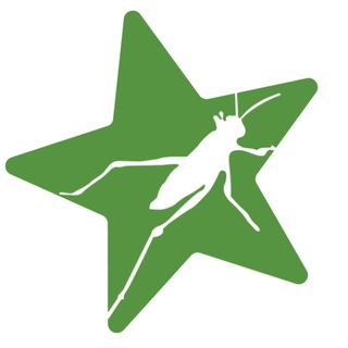 Telegram profile photo for Параметрист-специалист 🌱