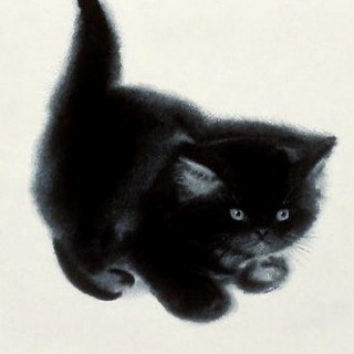 Telegram profile photo for shd9w sketches