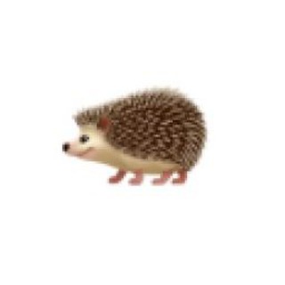 Telegram profile photo for egel.app