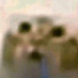 Telegram profile photo for полина ангажирововна