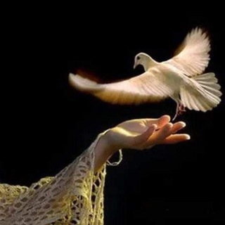 Telegram profile photo for النَورسْ .