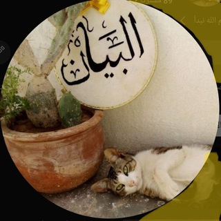 Telegram profile photo for البيان | Al Bayan