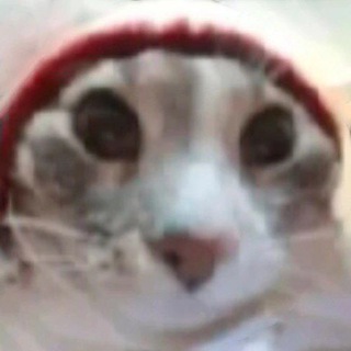 Telegram profile photo for никнейм