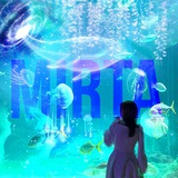 Telegram profile photo for × MIRTA CVR ˢᵒˡᵃʳ ×