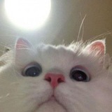 Telegram profile photo for Мой подвал