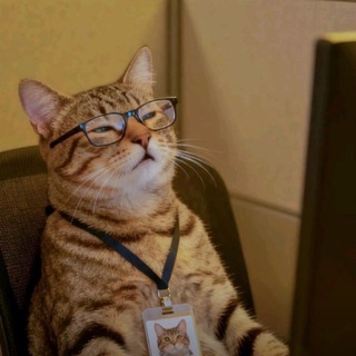 Telegram profile photo for Coding/AI with Shahzod