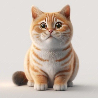 Telegram profile photo for all group link