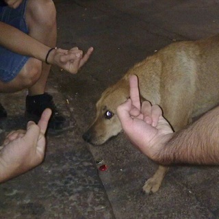 Telegram profile photo for TWATTYYYYY