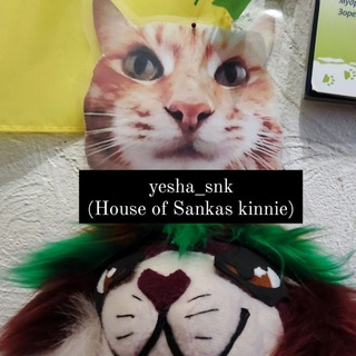 Telegram profile photo for Yesha_snk (Малюк Хаус)