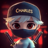 Telegram profile photo for Charles Playground