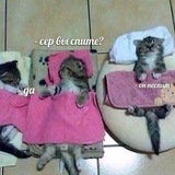Telegram profile photo for Птичкины странички |проза|хэдканоны|фанфики|