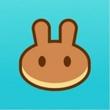 Telegram profile photo for Pancakeswap Pumps