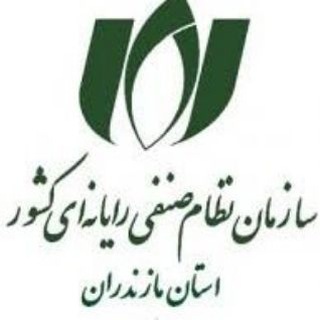 Telegram profile photo for نصر مازندران