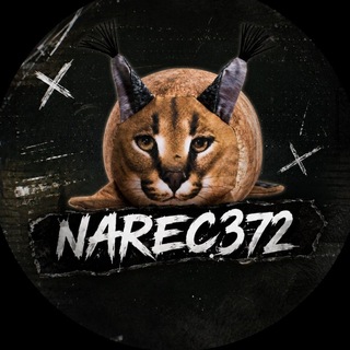 Telegram profile photo for narec372