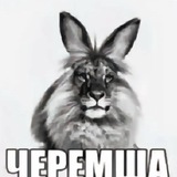 Telegram profile photo for Черемша