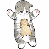 Telegram profile photo for 🐱~Котики~🐱