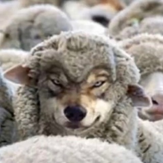 Telegram profile photo for 🐾 We-the-People-Germany 🐾