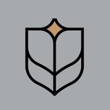 Telegram profile photo for آکــــادمی نگره