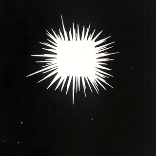 Telegram profile photo for forward to the past