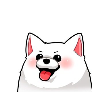 Telegram profile photo for 오늘의꿀통