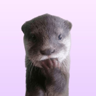 Telegram profile photo for $Chitan
