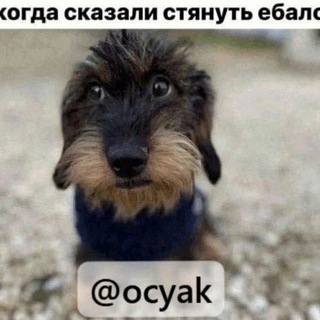 Telegram profile photo for щитпост косяк
