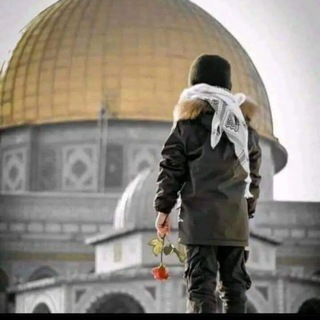 Telegram profile photo for نَــثـَــراتُ غَــرِيــبْ ےٰٓ